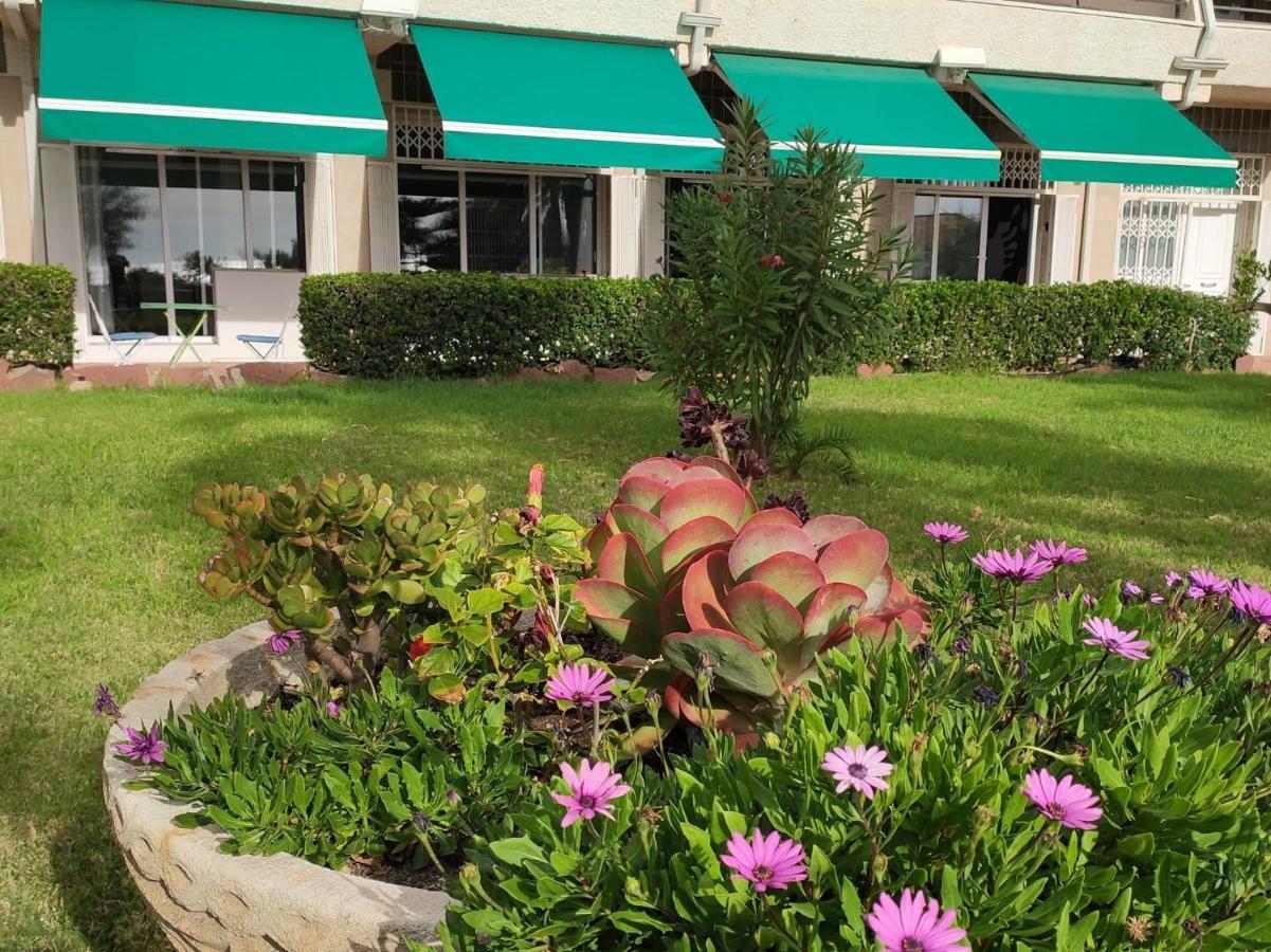 Sunrise Studio Marilyn, Vistas Jardin Y Mar Miami Playa Exterior foto